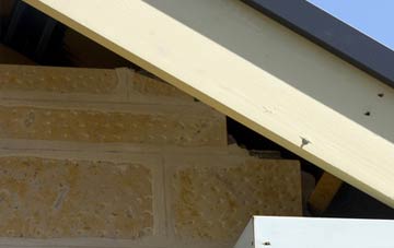 soffit repair Hurn